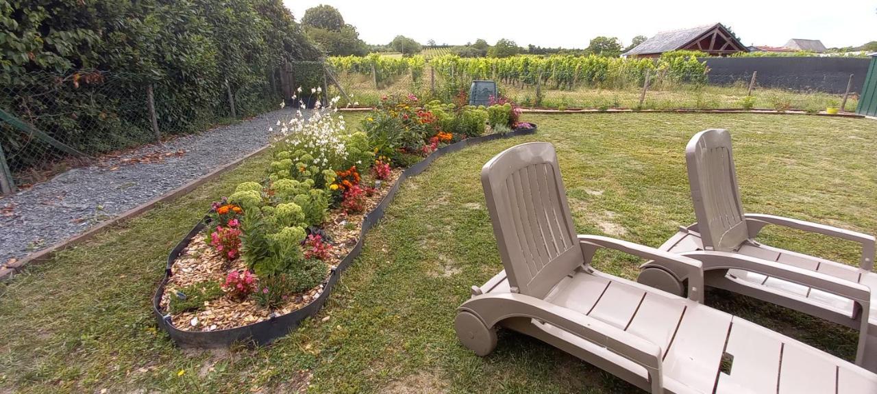 Hebergement Sarment Du Veron Chinon Villa Beaumont-en-Veron ภายนอก รูปภาพ
